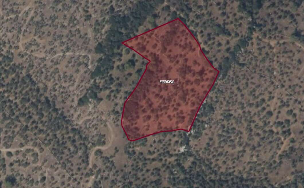 Milas’ta İki Ayrı Zeytinlik Mahkeme ve İcra Yoluyla Satışa Çıkarıldı 4